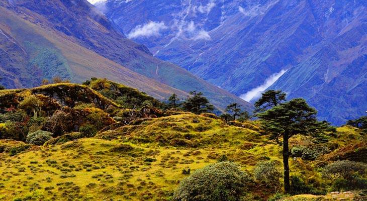 top 3 teahouse treks in Nepal's green grass land